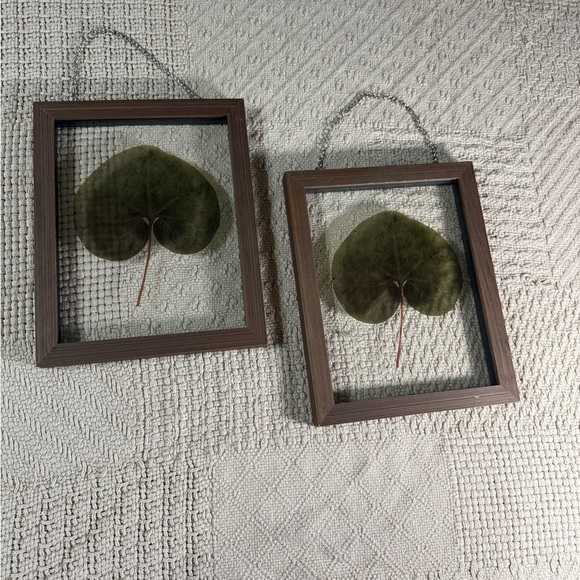 Pressed Leaf Glass Hanging Frames – Set of 2 – Rustic Brown Wood - Picture 1 of 5